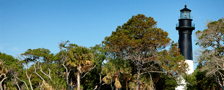 Black and white lighthouse behind the trees